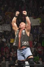 Stone Cold Steve Austin Poster Wall Art Decor Photo Prints