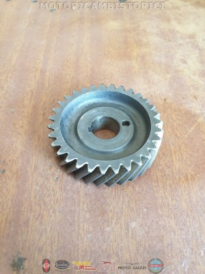 PIGNONE MOTORE 31 Denti Moto SACHS 125 ANCILLOTTI 112 000 F&S R