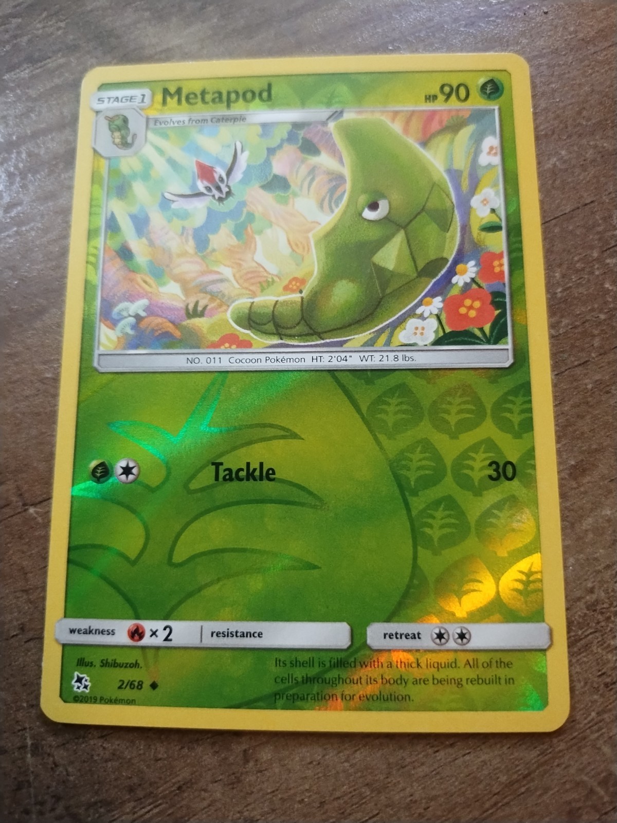 Metapod 2/68 Hidden Fates Reverse Holo-NM