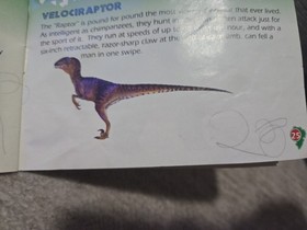 Jurassic Park (Nintendo, NES) Instruction Manual Only