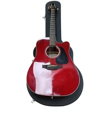 TAKAMINE GD30CE-WR (MP2051132)