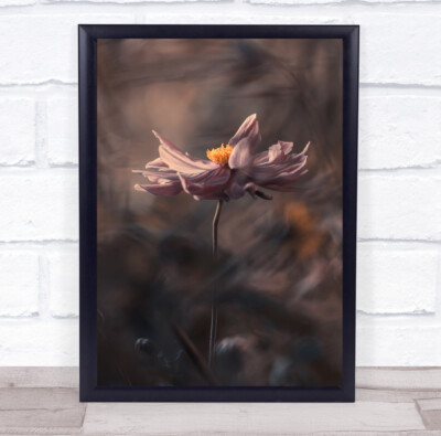 Makro Blume Blumen rosa Bokeh Garten Flora Floral japanischer Wandkunstdruck