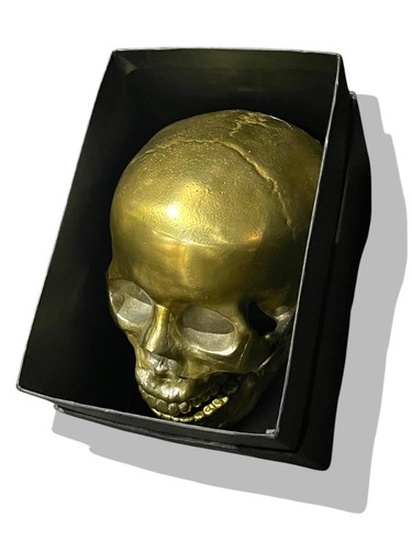 Seletti Human Skull, Wunderkammer, Culture Skullture BRANDNEU - Bild 10 von 17