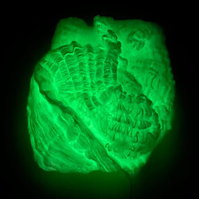 Halloween Fluorescent Spider Webs,Glow in the Dark Spider Webs,Halloween Cobweb,