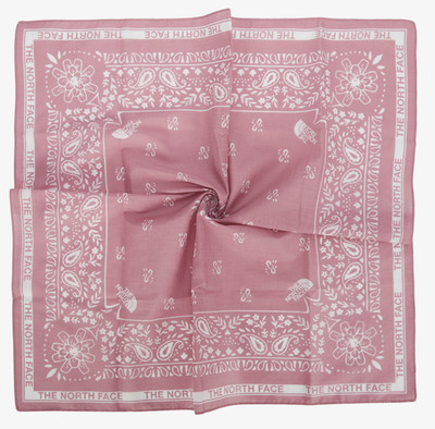 The North Face Bandana Paisley 80'S Unisex Scarf Accessory Dusty Rose NA5BS01B