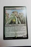 MTG Conclave Evangelist x1- -Ravnica: Clue Edition-Near Mint