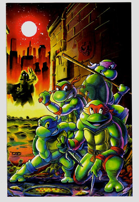 TMNT:Saturday Morning Adventures #11 Stashhhloot Virgin Variant 1st PONCHO Cover
