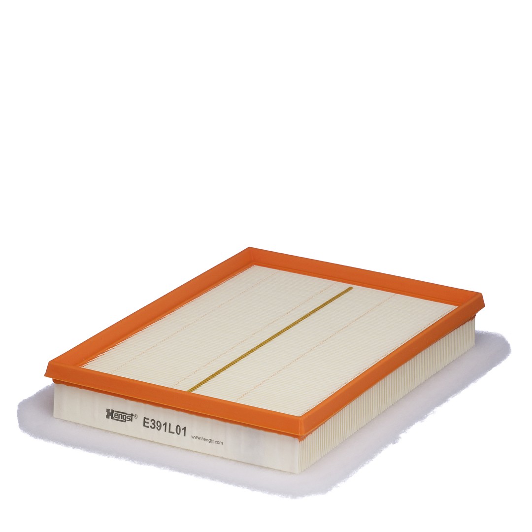 HENGST FILTER E391L01 Filtro aria Cartuccia filtro - Immagine 2