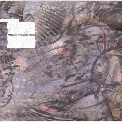 Floid / SKUDD / Omen Wapta / OW7 / 12 Inch