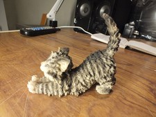 Catissimo Matteo Yawning, stretching cat. CA18.