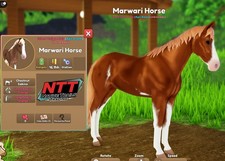 Wild Horse Islands - Chestnut Sabino, Pearly Orange, MARWARI HORSE - IUH