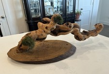 Driftwood Piece for Reptile Terrarium Decor Decoration Beautiful Piece