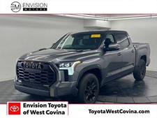 2023 Platinum Hybrid