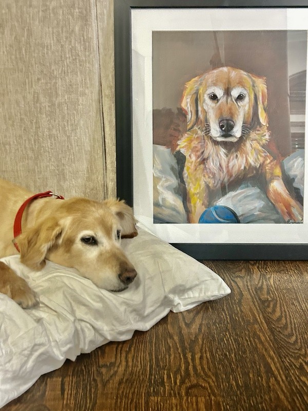 “ Custom “ Pet Portraits  (send the pet’s picture)