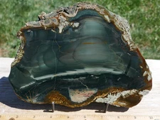 TCR BLUE MOUNTAIN JASPER/AGATE/LAPIDARY POLISHED SLAB 382 GRAMS
