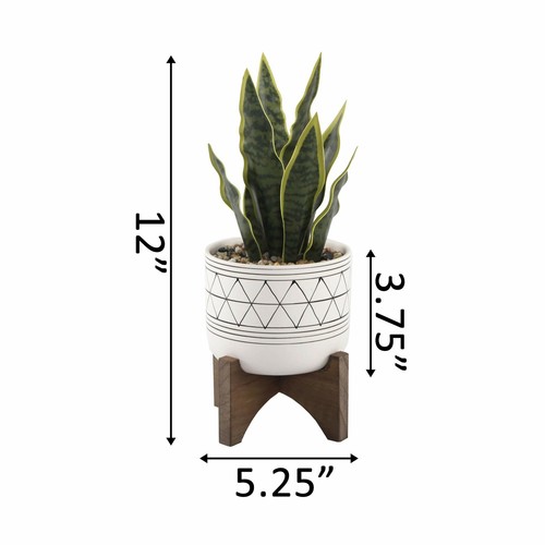 Flora Bunda 12" Artificial Snake Plant in 5" Handpainted Geometric Ceramic Pot - Picture 4 of 4
