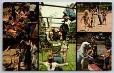 Vintage Postcard NY Kiamesha Lake Concord Hotel Sports Resort Kids Playing -4751