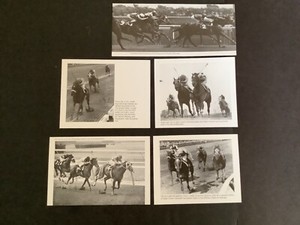 SECRETARIAT ALL 5 LOSSES PHOTOS Horse Racing  5 LOT