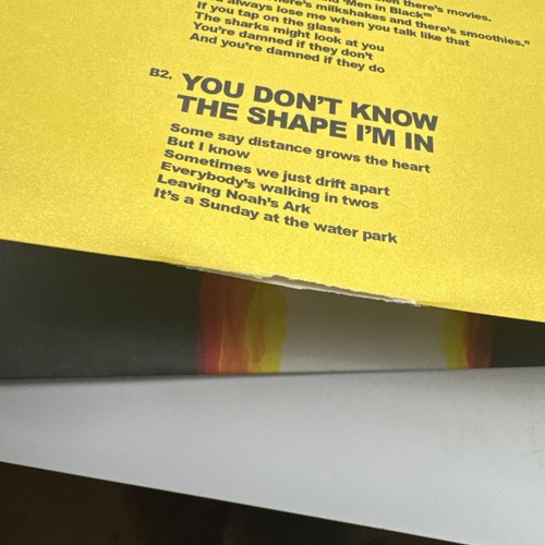 Mj Lenderman Manning Fireworks Lp 2024 (Vinyl) - Picture 9 of 24