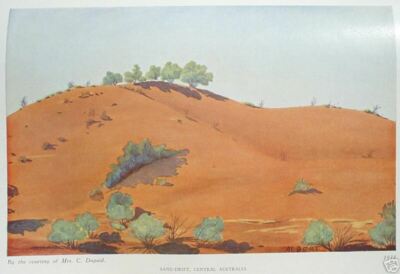 1945 1st ed / 3rd imp ART OF ALBERT NAMATJIRA w 10 COLOUR PLATES FREE EXPRESS WW
