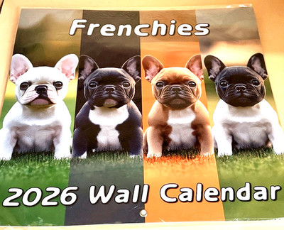 Frenchies 2026 Wall Calendar Many Cute Color Photos