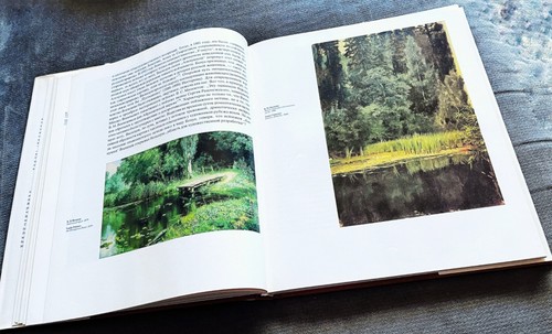 Victor Mikhailovich V.M. Vasnetsov De A.K.Lazuko RSFSR 1985 VG Art Book HCDJ RAR - Picture 8 of 24