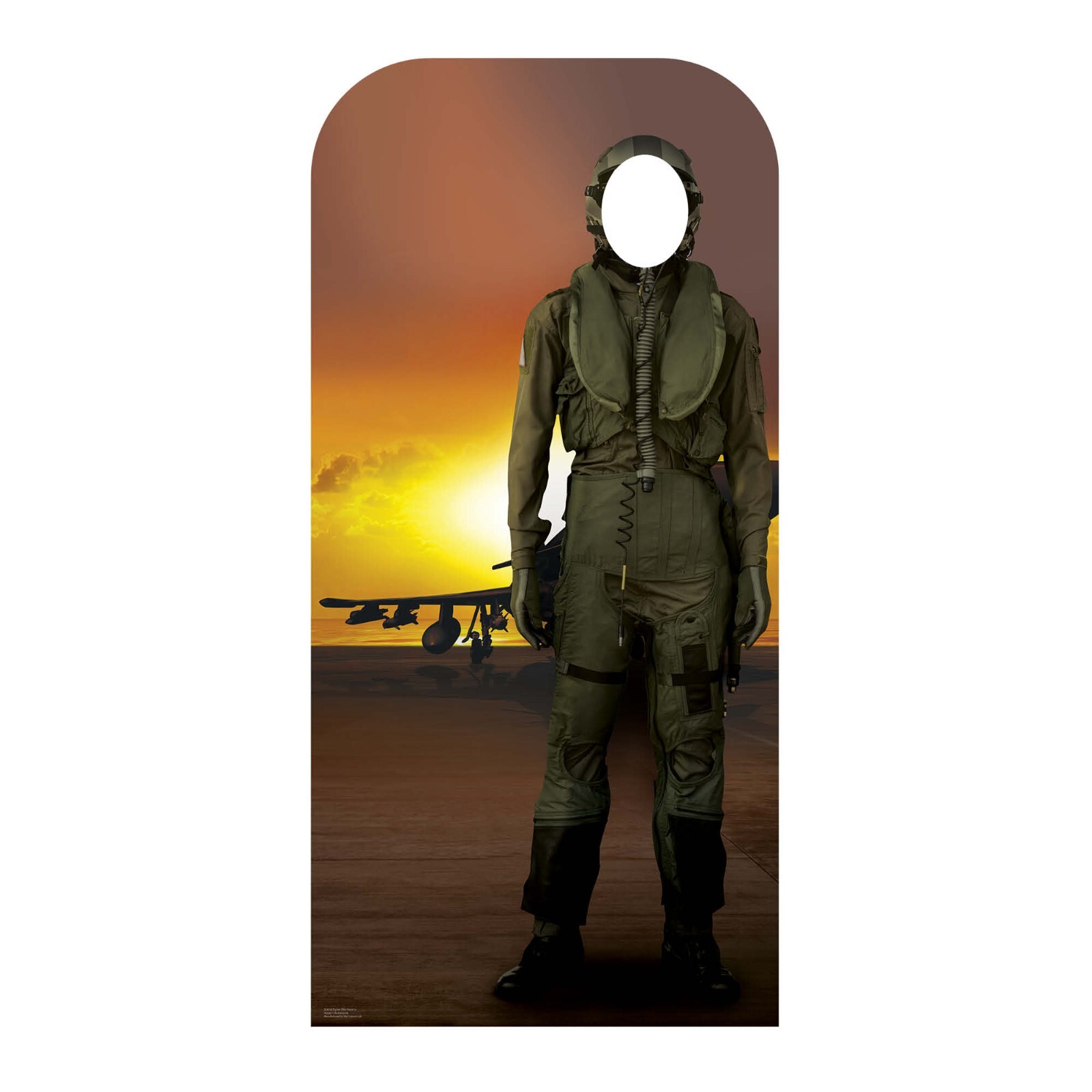 Fighter Pilot Lifesize Cardboard Stand In  / Standup - Party Photo Fun
