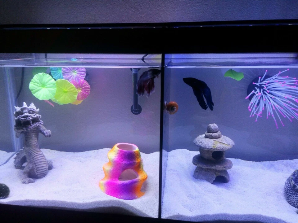 JAX RACKS Top Fin 5 Gallon Fish Tank Divider ( No Suction Cups Required)