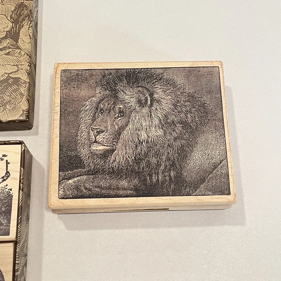 Пурпурные коллекционные резиновые деревянные марки с креплением осень лев животные кролики кошки собаки  - Изображение 3 из 4