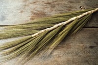 Nadeco Federkorn Gras Mit Bambustiel, LäNge Ca. 120Cm Stem Grain Grass Dekog
