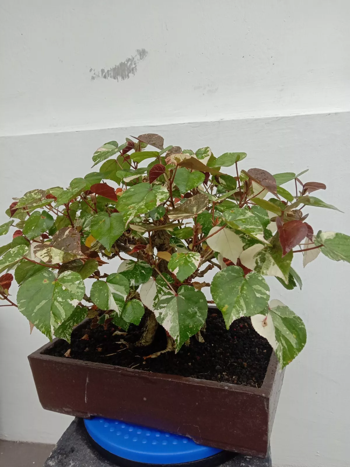 Picture 3 of 3