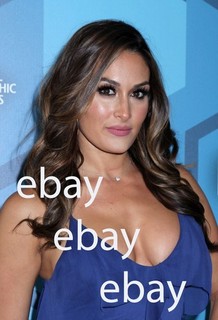 Nikki Bella 4x6 Color Photo #6