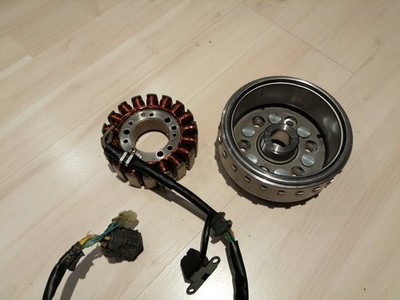 Cectek Kingcobra 500 ORIGINAL Lichtmaschine mit Polrad