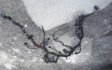 1999-2000 Oem Honda Civic Ex Obd2b Sohc Vtec Engine Wire Harness 1.6l Mt 1999-2000 Oem Honda Civic Ex Obd2b Sohc Vtec Engine Wire Harness 1.6l Mt