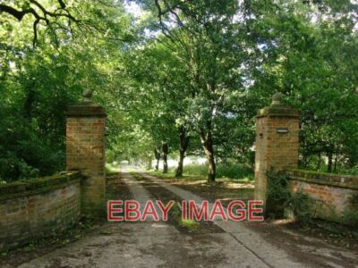 PHOTO  DRIVE LEADING TO FABDENS LOOKING NORTH FROM COLD CHRISTMAS LANE. 2013