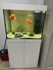 Juwel  Lido 200 Fish Tank and Cabinet Cost Almost £600 Fish Tank