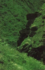 Postcard Maui, Hawaii: President John F. Kennedy Profile, Natural Lava Formation