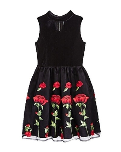 knee length dresses for ladies Sunkiss Frill Mini Dress White / Broderie main image 1