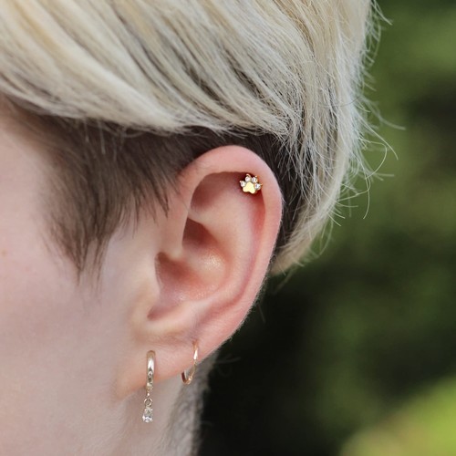 14K Solid Gold Helix Earring Stud 16g Dog Paw Flat Back Helix Piercings Yello... - Picture 5 of 6
