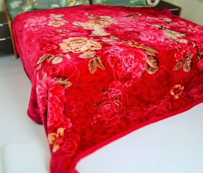 Kuscheldecke Decke 200 x 230 cm Zweilagige Doppelseitige Decke 2 Ply , 3 kg - Bild 1 von 4