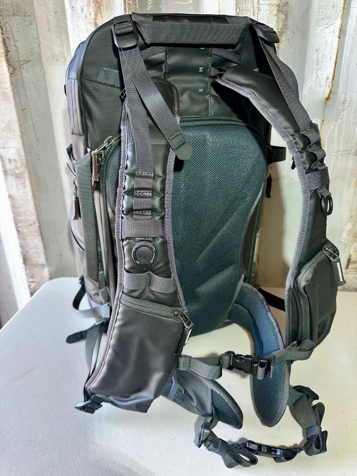 Picture 2 of 13