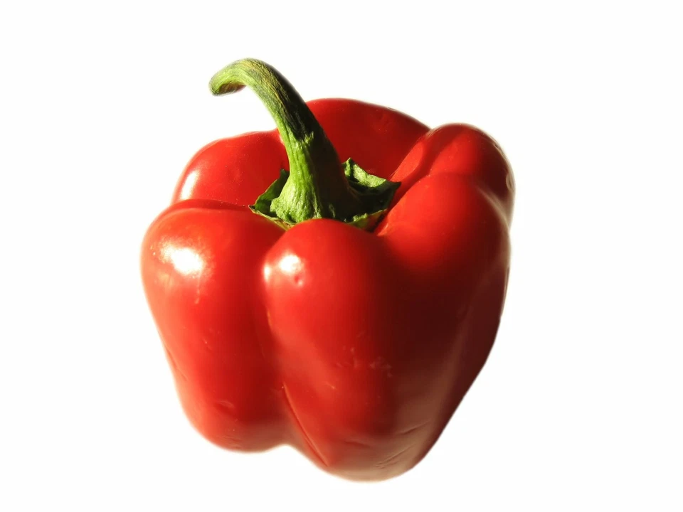 ROCALBA california wonder red pepper (200 seeds) seeds