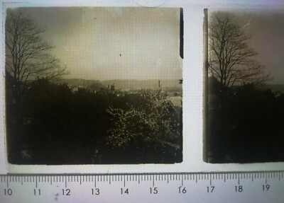 EE025 Positivplatte Glas stereoskopisch um 1920 6x4cm Landschaft Land