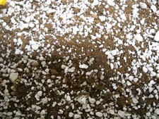 Organic Carnivorous Plant Sphagnum Peat Moss/Perlite 50/50--5 CUPS
