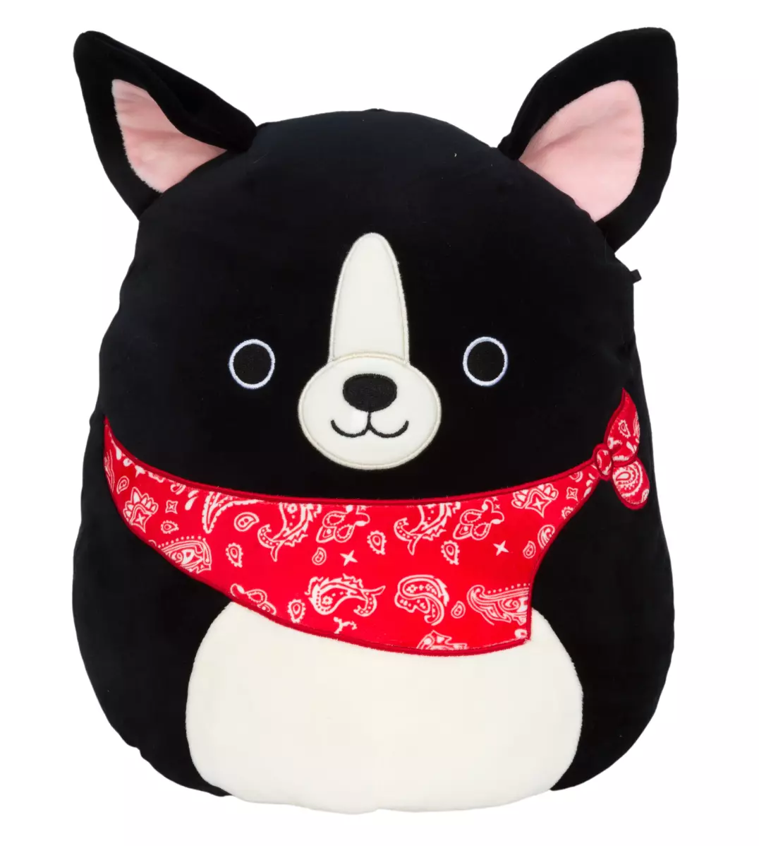 Black dog with store red bandana