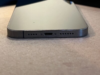 Apple iPhone 13 Pro Max - 128GB - Graphite Unlocked A2484 (CDMA +