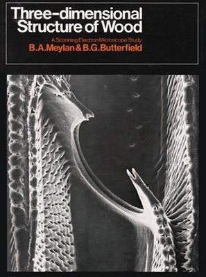 Three-Dimensional Structure of Wood : A Scanning Electron Microsc