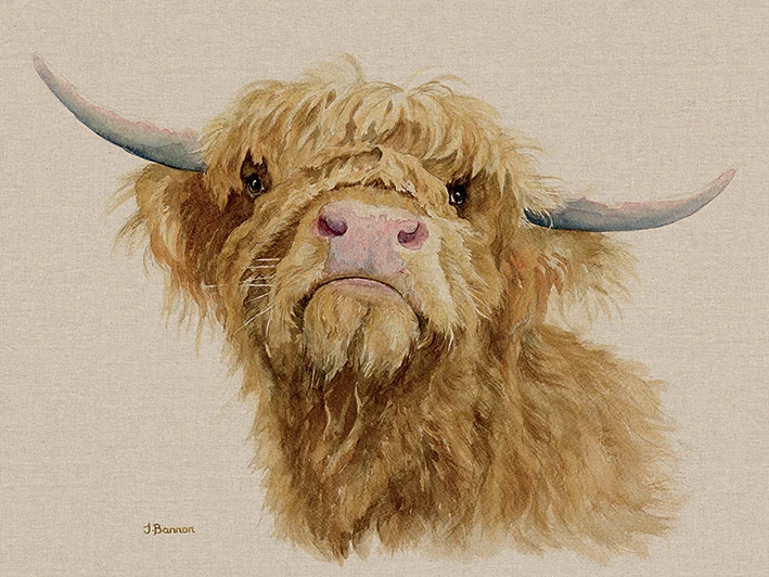 Jane Bannon - Donald - Canvas Print Wall Art 3 sizes available - Highland Cow