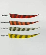 Trueflight 5" Shield Cut LW or RW Barred Feathers - 1 Dozen