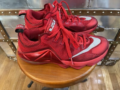 lebron red sneakers